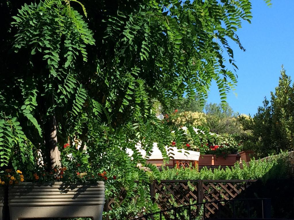 Villa Giuliana San Vito Lo Capo Bilik gambar